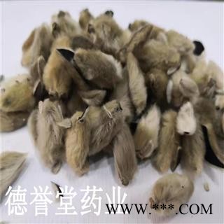 辛夷花  辛夷花干花 选 本店批发零售各种中药材图3