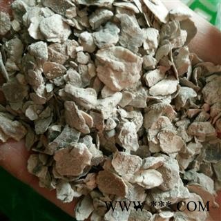 牡蛎 统 产地 福建省漳州市图2