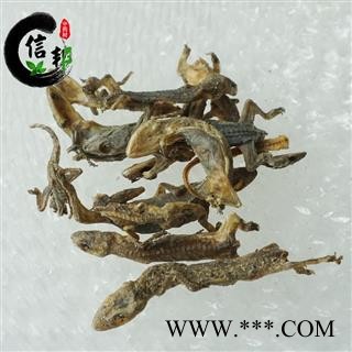 壁虎干守宫进口天龙清水足干壁虎规格齐全专注品质，诚信信邦！图4