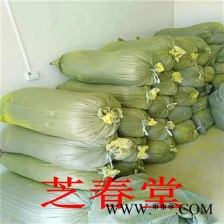 中药材批发蒲黄 无硫蒲黄粉 承接大货 支持检验蒲黄粉图3