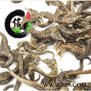 海马0.5克小马驹清水全干无加重100克起售专注品质，诚信信邦！图2