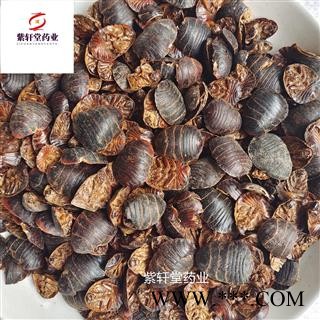 土元 土鳖虫大统货 产地山东省 地道药材 紫轩堂药业图3