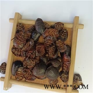 土元 土鳖虫水洗腹空大统货 产地 山东省【文杰药业】新货上市 实物拍摄 现货批发1000克图3