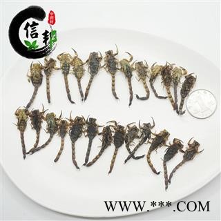 全虫蝎子肚子憋公全蝎烘干货海南清水无盐足干货肚子瘪颜色黑专注品质,诚信信邦!图3