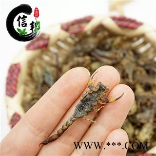 全虫蝎子肚子憋公全蝎烘干货海南清水无盐足干货肚子瘪颜色黑专注品质,诚信信邦!图2