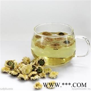 【录建药业】菊花 贡菊花 产地 江苏省盐城市东台市图2