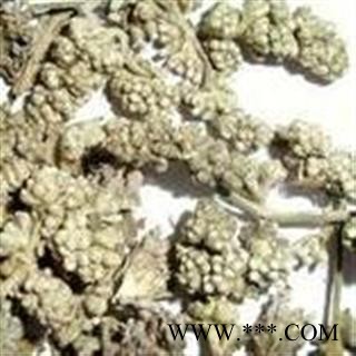 密蒙花 统 国药堂 专注品质 产地 四川省图2