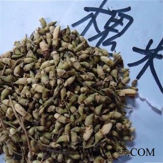 槐米 统货 产地 河北省图3