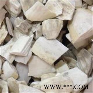 精品海螵蛸大统块 质量好价格低 产地直销图2