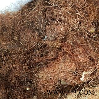 玉米须 玉米须统货 产地 山东 华美中药 产地直销 重在品质图3