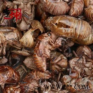 【包邮】蝉蜕 正品硬壳大蝉蜕（0.5kg） 四川产 货干净 虫蜕 蝉衣【良心经营 品种齐全】图4