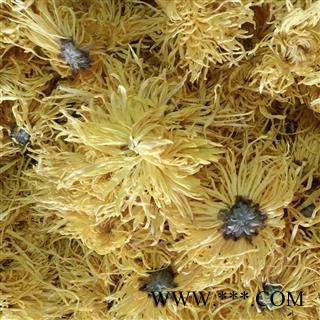 黄菊花 金丝皇菊 花茶 产地 江西省图2