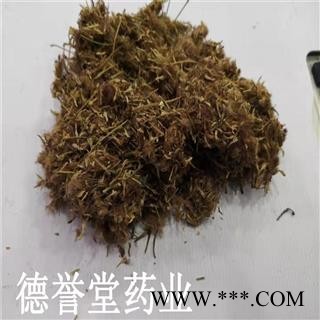 合欢花 统 夜合欢、夜合树 绒花树 鸟绒树 苦情花 产地 山东图2