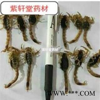 全蝎 山西陕西清水全蝎秋货 产地陕西省 清水全蝎图3
