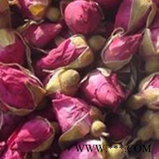 玫瑰花 山东玫瑰王  产地 山东省图2