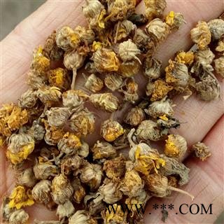 野菊花精选颗粒 产地 河南省平顶山市汝州市图4