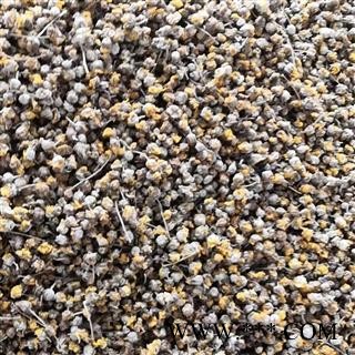 野菊花精选颗粒 产地 河南省平顶山市汝州市图3