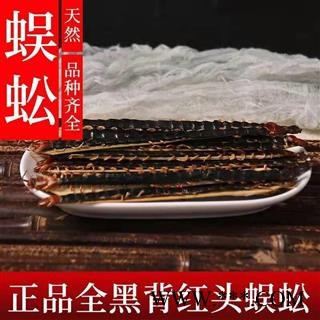 蜈蚣 蜈蚣大条精选货16-17cm 产地 湖北省【文杰药业】图2