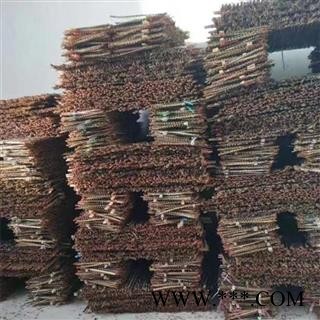 蜈蚣 蜈蚣大条精选货16-17cm 产地 湖北省【文杰药业】图3