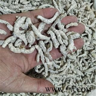 僵蚕 正品僵蚕无假。保证质量 产地 广西壮族自治区图4