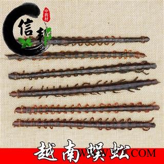蜈蚣红蜈蚣带竹签越南货16厘米一手货源量大详谈专注品质，诚信信邦！图3