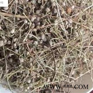 正品好统装新货谷精草 新货颜色好 产地 湖南图2