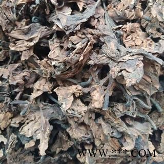 鸡蛋花 统货 产地 河北省图2