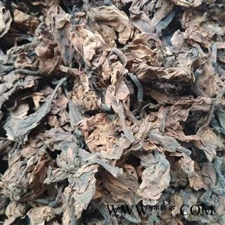 鸡蛋花 统货 产地 河北省图3