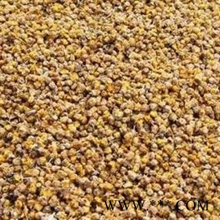 野菊花 颗粒货 2020产地 湖北省黄冈市罗田县图3