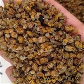 野菊花 颗粒货 2020产地 湖北省黄冈市罗田县图2