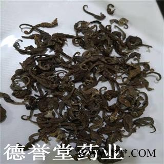 海马 小统 ，海驹,海咀 马驹,按克算图3