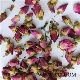 玫瑰花 甘肃苦水玫瑰王 产地 甘肃省图2