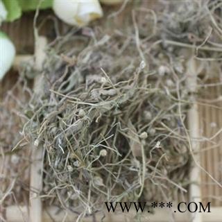 谷精草 统 产地 湖南 华美中药 产地直销 重在品质图3