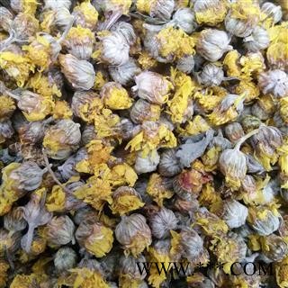 野菊花选货 质量好价格低  产地 山东省图2