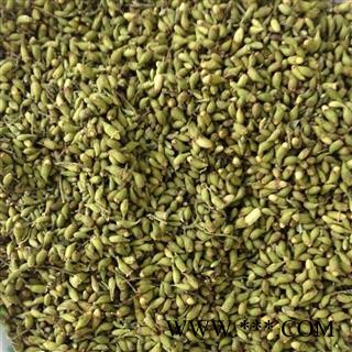 槐米  槐花 统 产地 山东省   华美中药 产地直销 重在品质图2