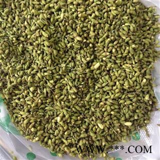 槐米  槐花 统 产地 山东省   华美中药 产地直销 重在品质图4