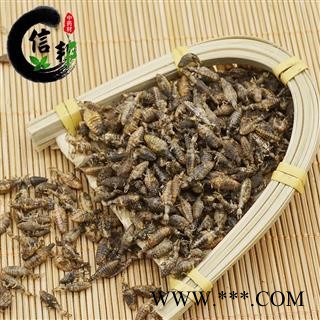 金沙牛产地直销海南纯清水金沙牛结石克星大个完整度高专注品质，诚信信邦！图2