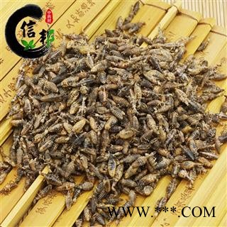 金沙牛产地直销海南纯清水金沙牛结石克星大个完整度高专注品质，诚信信邦！图4