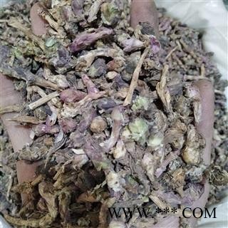 款冬花 款冬花净货 产地 甘肃省图2