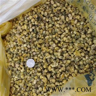 胎菊 桐乡胎菊王 产地 浙江省图2