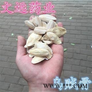 海螵蛸 乌贼骨 海螵蛸 小统货  产地 广西壮族自治区图2