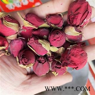 月季花 月季花大朵统货 产地 山东省图2