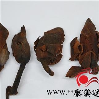 厚朴花 药用统货 产地 四川省图2