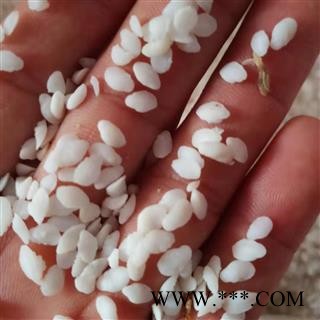 安祁名药中药材鱼脑石   多种规格图2