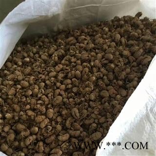 安祁名药小蝉蜕 蝉蜕 多种规格图2