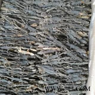 安祁名药盒装整只壁虎 守宫图2