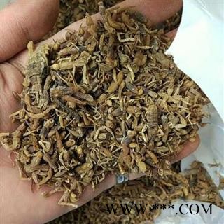 全蝎 统 碎全蝎 全虫  全干货 产地 河南省图2
