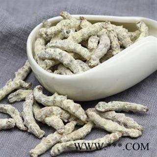 白僵蚕 秦岭优质僵蚕 扁僵蚕 山民自养500g另有炒僵蚕图4