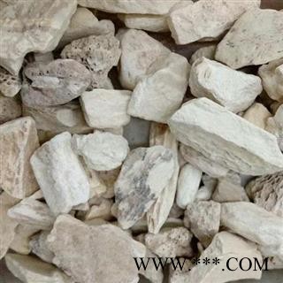 龙骨 煅龙骨统货 产地 甘肃省 娟子中药行图2