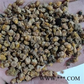 新到好货野菊花颗粒货，发货前过筛，干净无杂质图3